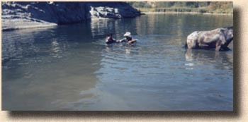 Patrick and Teddy - Water Clinic